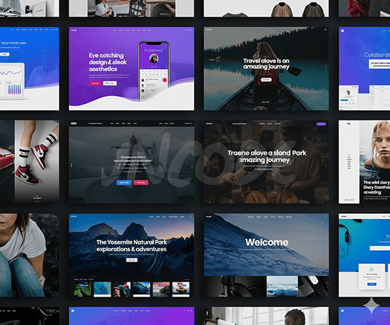 Grow your business through professional website development and digital marketing services by Oakyweb